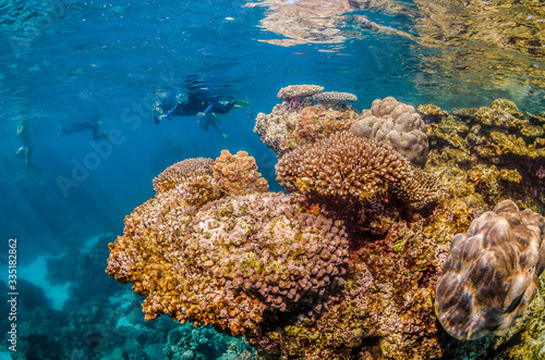 Snorkelers swimming among colorful coral reef