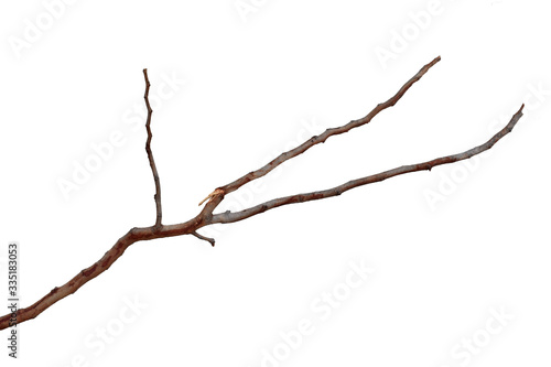 Dry branch 