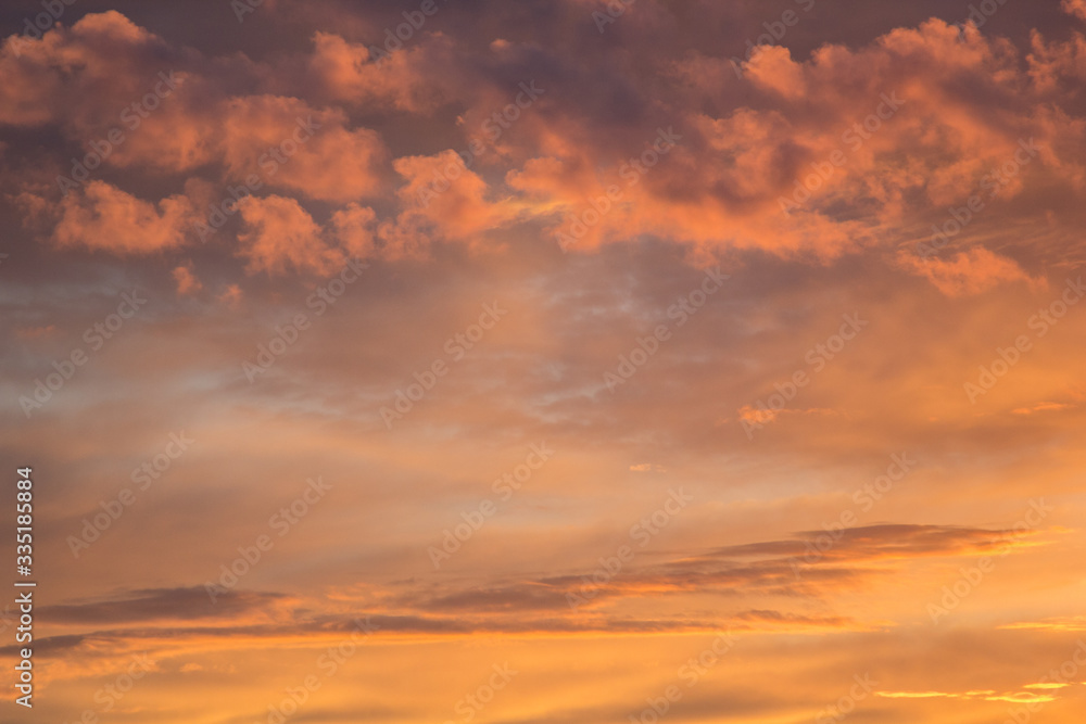 Wonderful golden and pink fluffy clouds in blue sky as abstract background, texture.