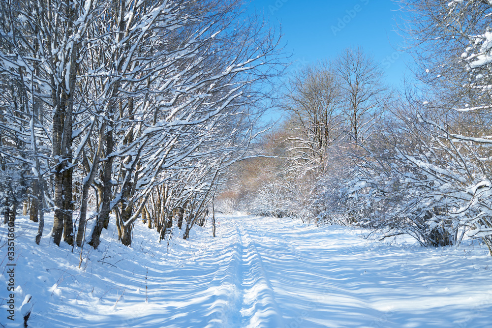 Fototapeta premium Snowy road in a mountain forest.