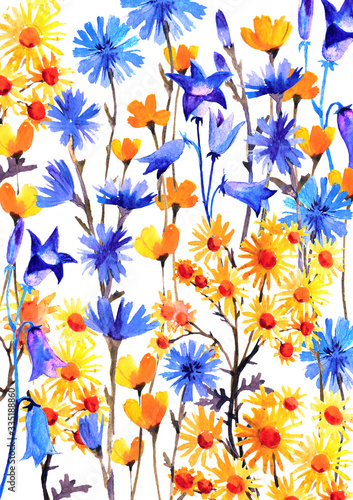 Watercolor background with yellow and blue flowers. Spring watercolor illustration