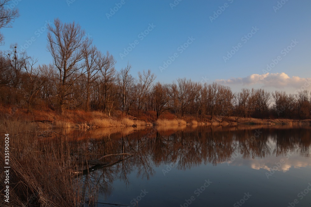 Landscape mirror