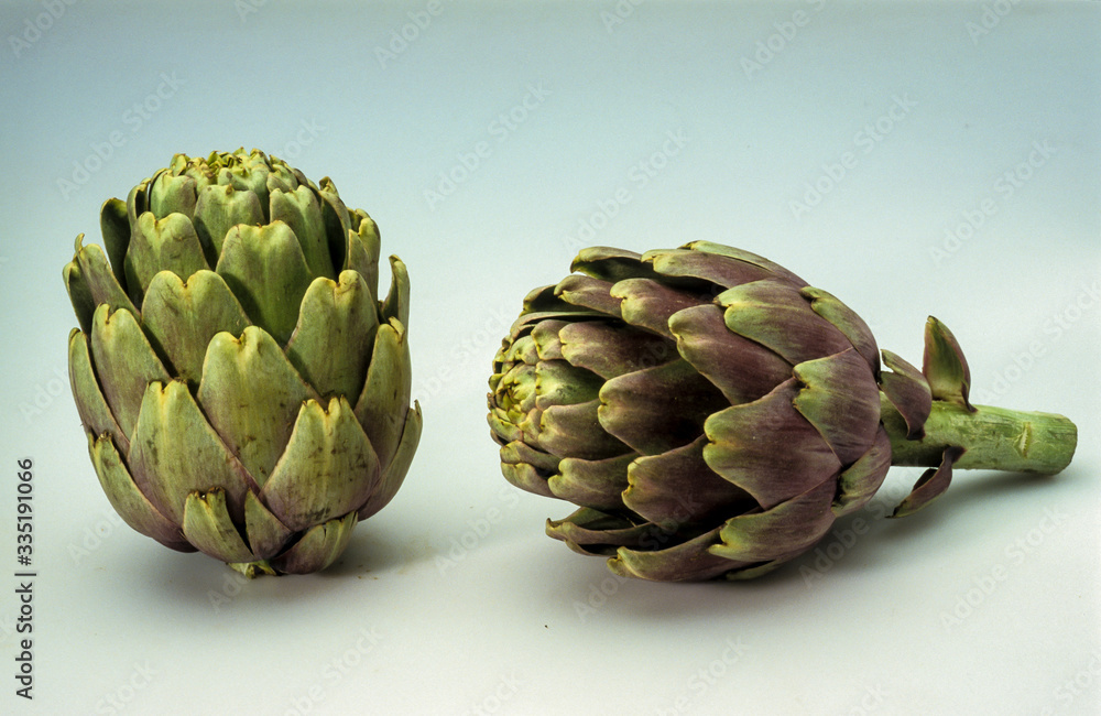 Fototapeta premium Artichaut, Cynara scolymus