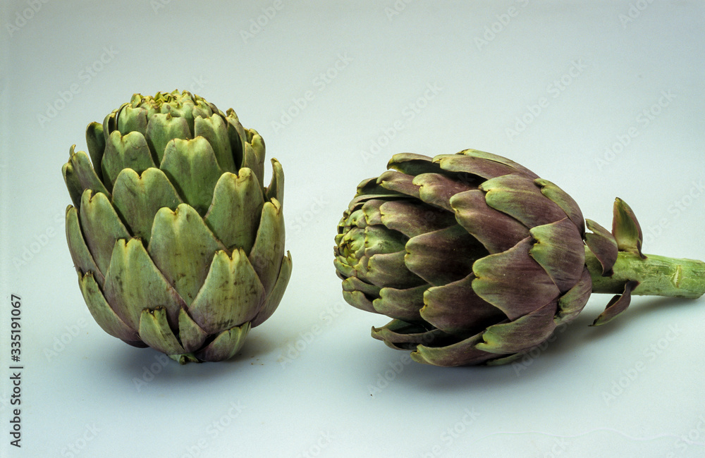 Obraz premium Artichaut, Cynara scolymus