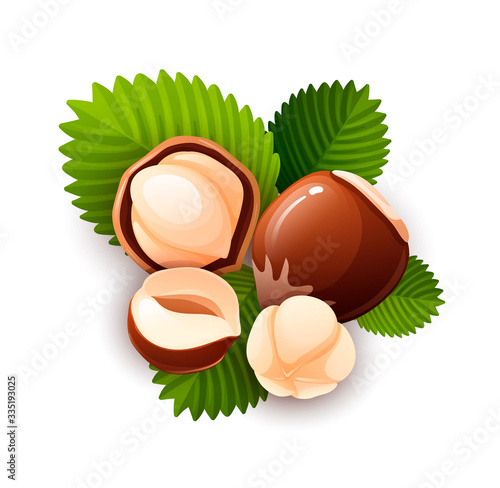 Hazel nut composition, food vector isolated, flat