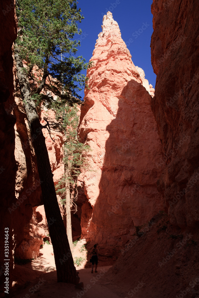 Utah / USA - August 22, 2015: Tourist looks Hoodoo and rock formation from a pathway in Bryce Canyon National Park, Utah, USA