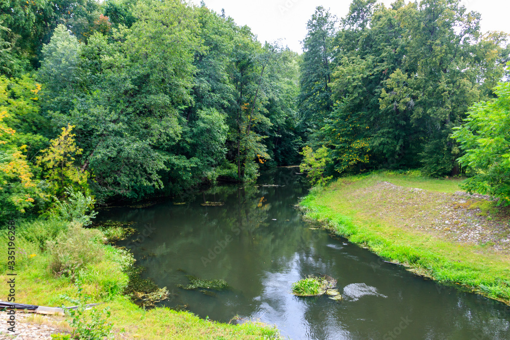 Small river in a green forest Small river in a green forest