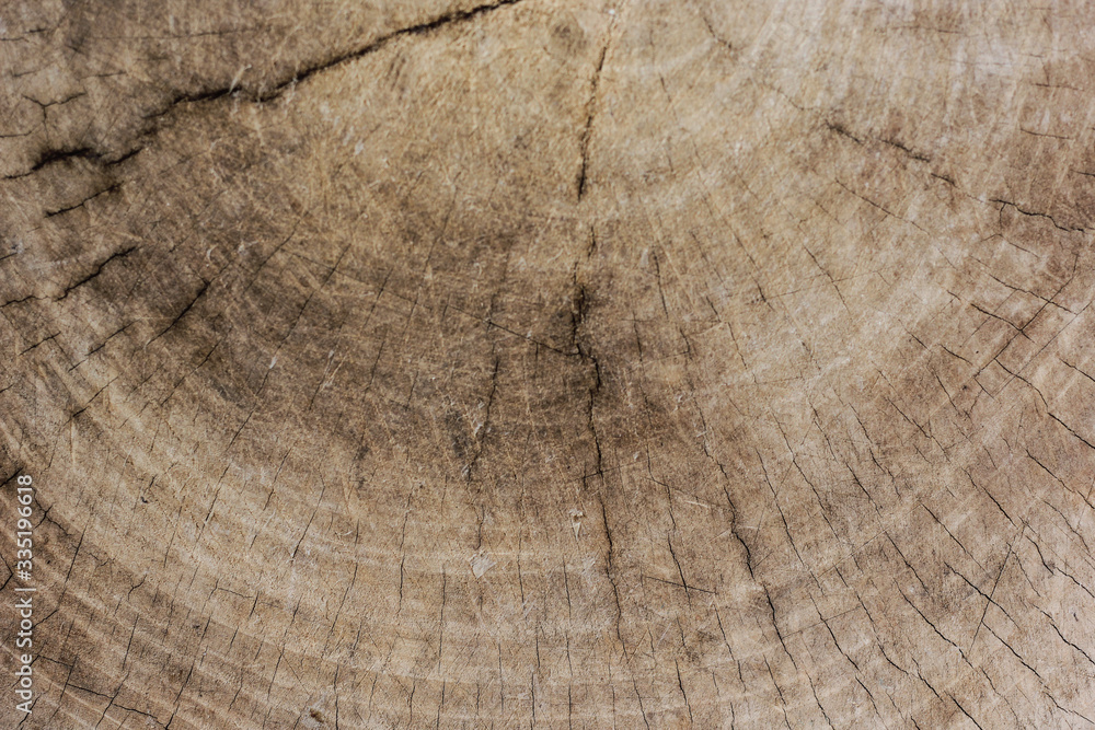 Naklejka premium wood texture background with old natural patterns