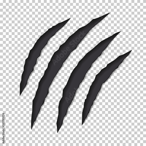 Animal  claws scratch track.  Four nails. Vector.