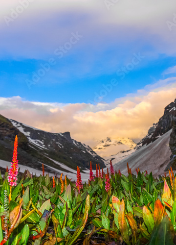 The amazing trek to hampta pass himalaya himachal pradesh