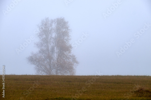 Autumn fog in Lithuania.