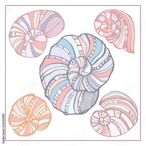 Seashells, starfishs, mollusks vector set graphic sketch 
