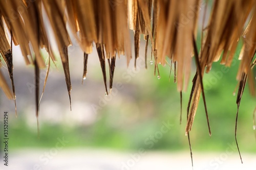 Rain on a Roof made of dry Palm leaves