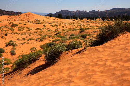 Utah / USA - August 22, 2015: Sand and dunes area in Coral Pink Sand Dunes State Park, Utah, USA