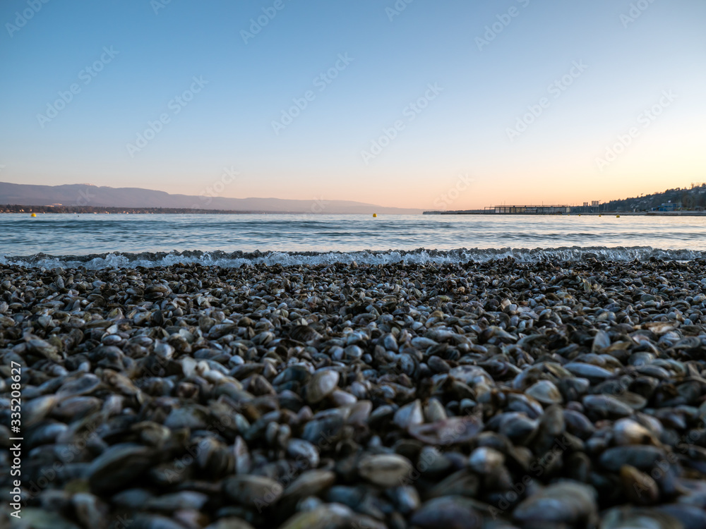 close up beach shot of a cold fresh water lake and shoreline with small fresh water mussels and sand in the foreground on a cold sunlit morning. close up beach shot of a cold fresh water lake and shoreline with small fresh water mussels and sand in the foreground on a cold sunlit morning.