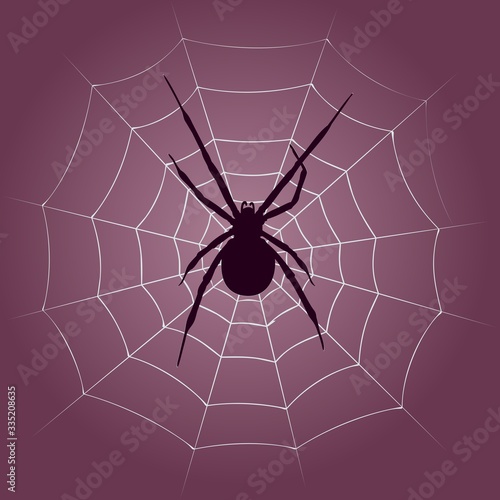 Background with spider silhouette and web.