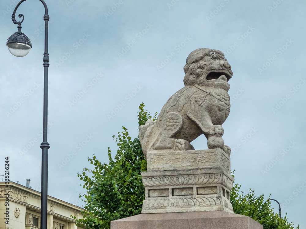 Obraz premium Chińskie lwy strażnicze Shih Tzu. Saint-Petersburg, Rosja