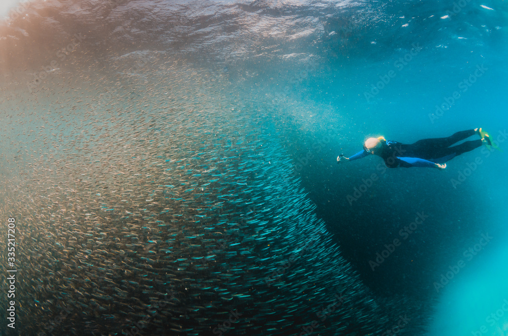 Female Diver Swimming Through a Huge Bait Ball or Tiny Fish