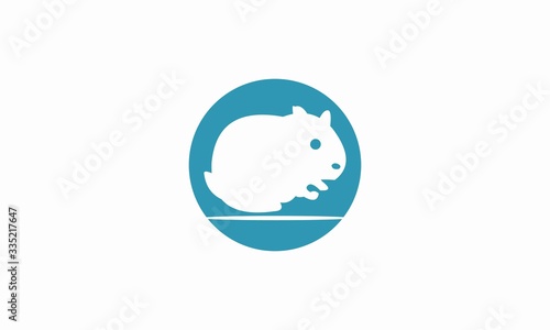 rabbit logo design vector