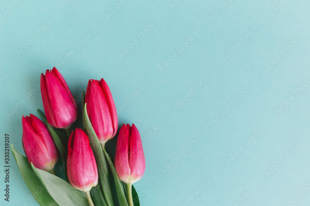 Tender red pink tulips on pastel turquoise background. Greeting card for Mother's day.