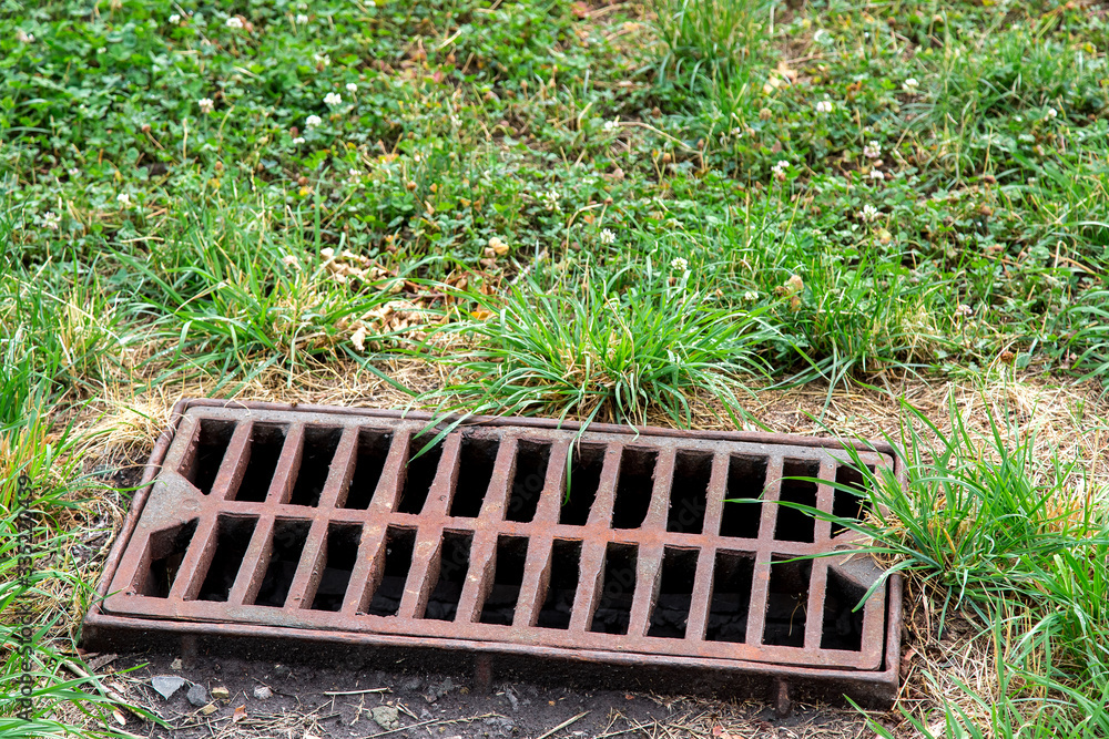 Fototapeta premium storm hatch sewage with a rusty grill overgrown with weeds in the park, close up of drainage system.