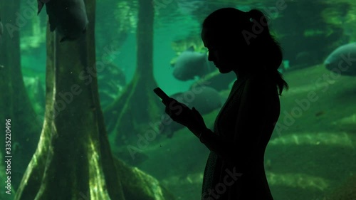 Silhouette of woman using smartphone, against large aquarium with big fish moving at flooded forest imitation. Large Tambaqui on background, tree trunks seen in water photo