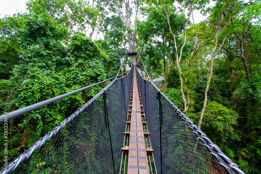Fototapeta premium Doi Tung Tree Top Walk, Chiangrai, Thailand