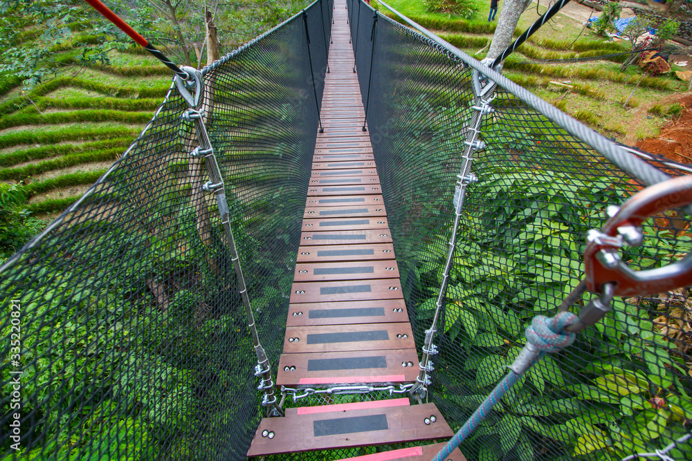 Doi Tung Tree Top Walk, Chiangrai, Thailand Doi Tung Tree Top Walk, Chiangrai, Thailand