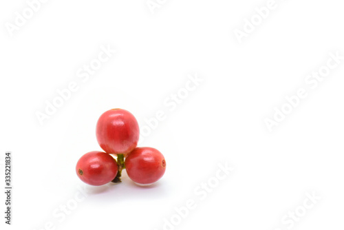 Coffee berries on white background.