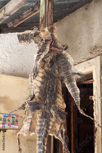Crocodile skins as healing materials hanging outside a local herbal shop in Stone town, Tanzania