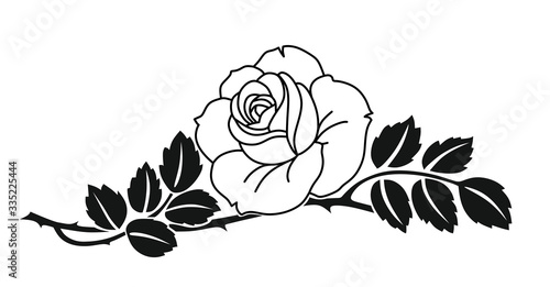 rose03042020b