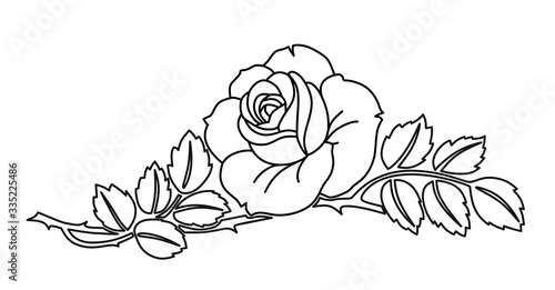 rose03042020c