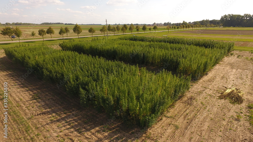 Fototapeta premium DCIM\100MEDIA\DJI_0448.JPG