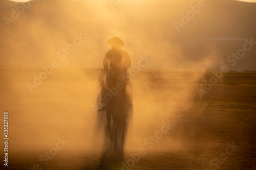 Free horses, left to nature at sunset. Cappadocia, Turkey