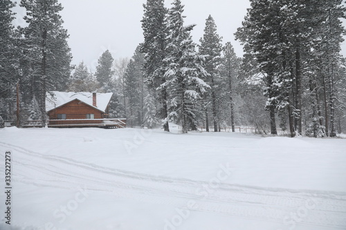 WInter snowy cabin house exterior with forest and pine trees and snow mobile tracks. © Iriana Shiyan