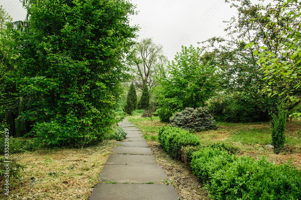 botanical garden in the summer is very beautiful in the open space