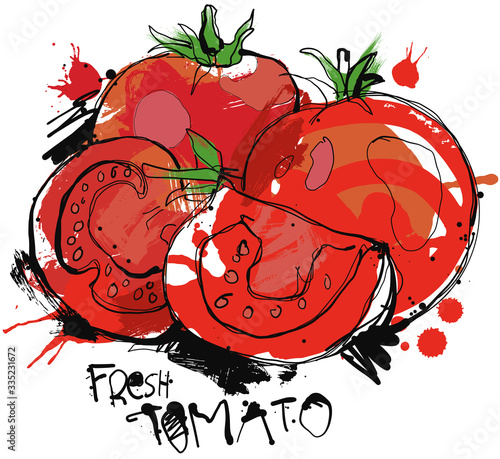 Fresh Tomato Sketch