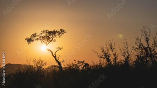 sunrise in South African savannah © Hannes