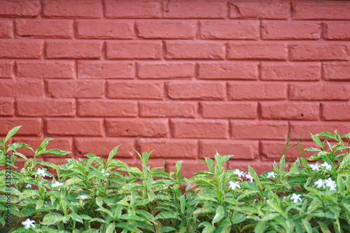 red brick wall and green grass soft focus background