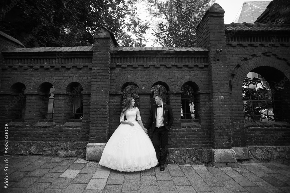 wedding bride groom loving cpouple marriage wedding bride groom loving cpouple marriage