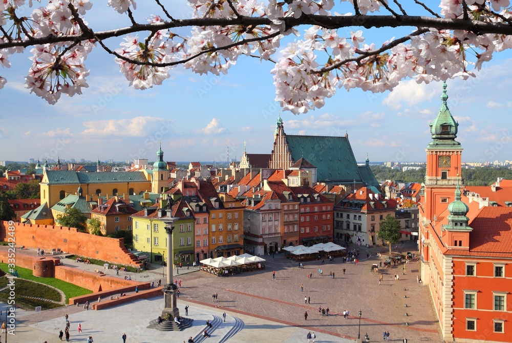 Warsaw city, Poland. Cherry blossoms spring time. - obrazy, fototapety, plakaty 
