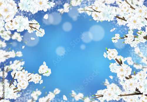 Cherry blossom illustration in full bloom against a blue night background.
