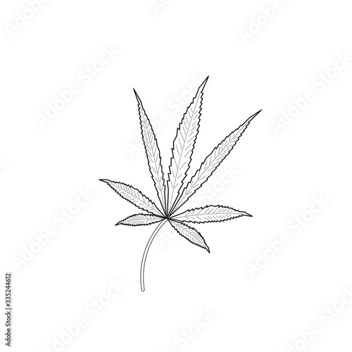 cannabis leaves on white background