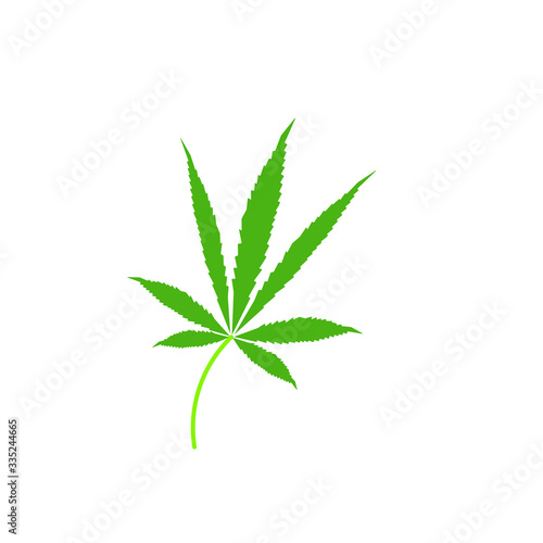 cannabis leaves on white background