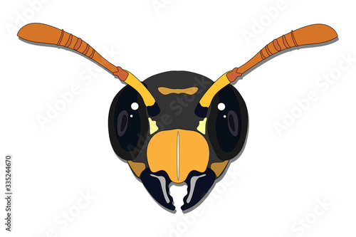 Vector stock illustration wasp head icon from front isolated on white background. Design for graphic, logo and web purposes.