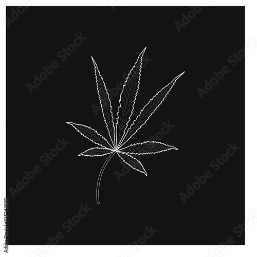 cannabis leaves on white background