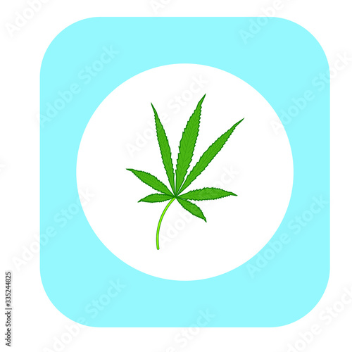 cannabis leaves on white background