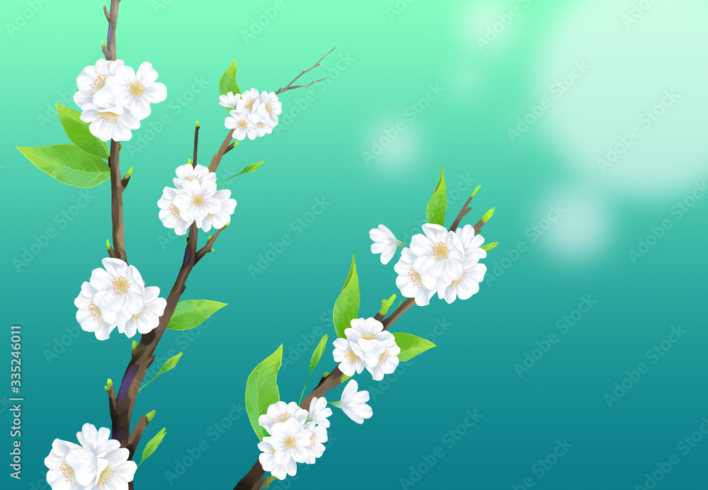 Close-up cherry blossom illustration with dark turquoise color background.