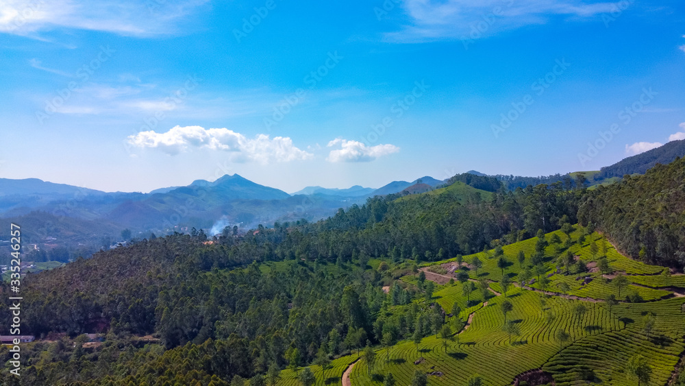 Obraz premium Plantacje herbaty w Munnar, Kerala, Indie. Piękne widoki na zielone wzgórza z błękitnym niebem.
