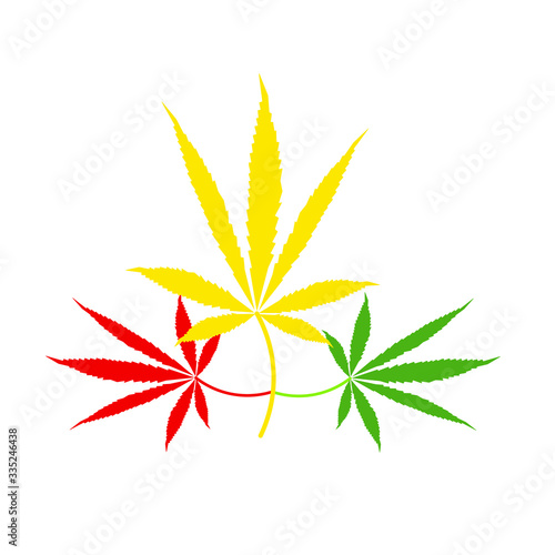 cannabis leaves on white background